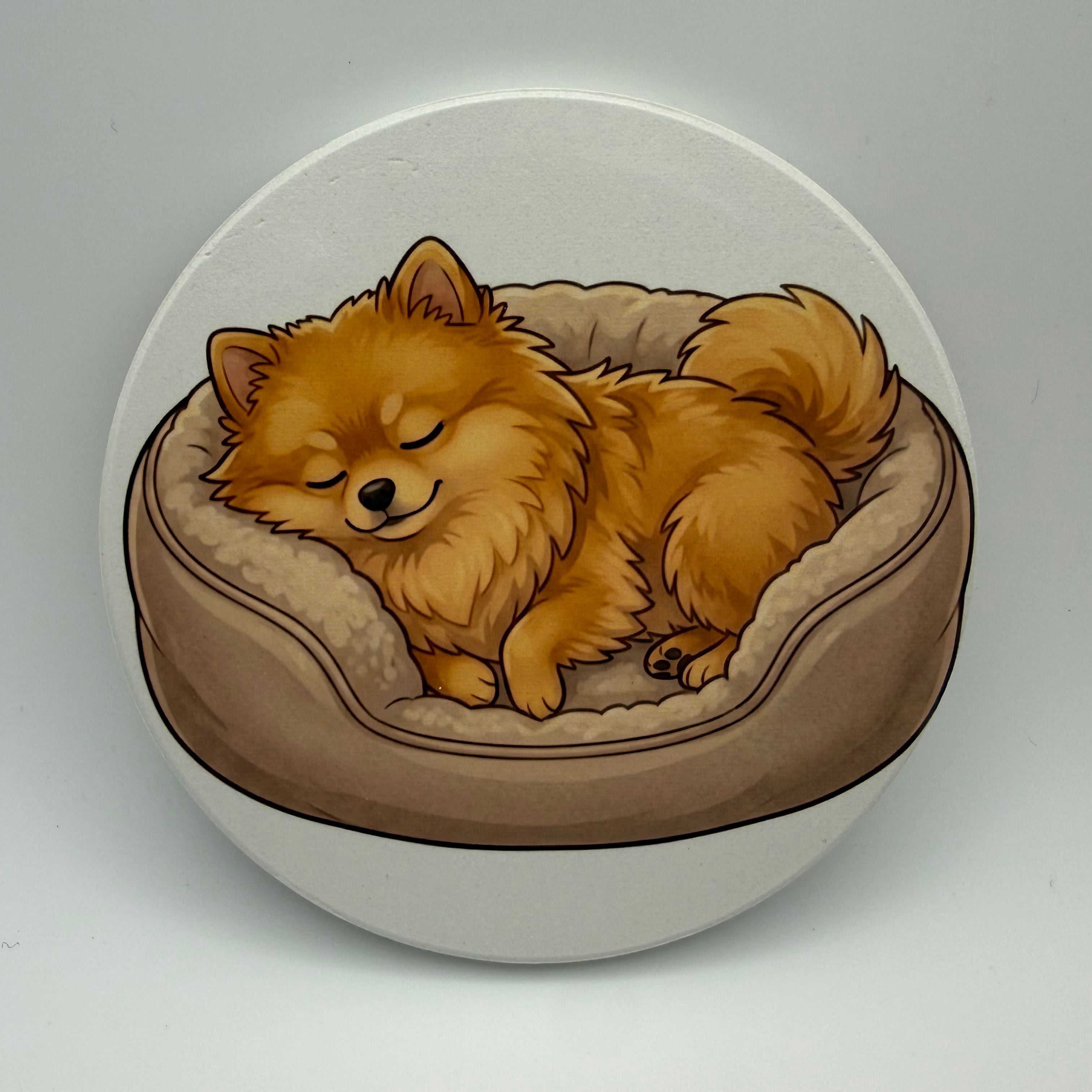 Pomeranian (Sleeping)