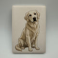 Golden Retriever (White)
