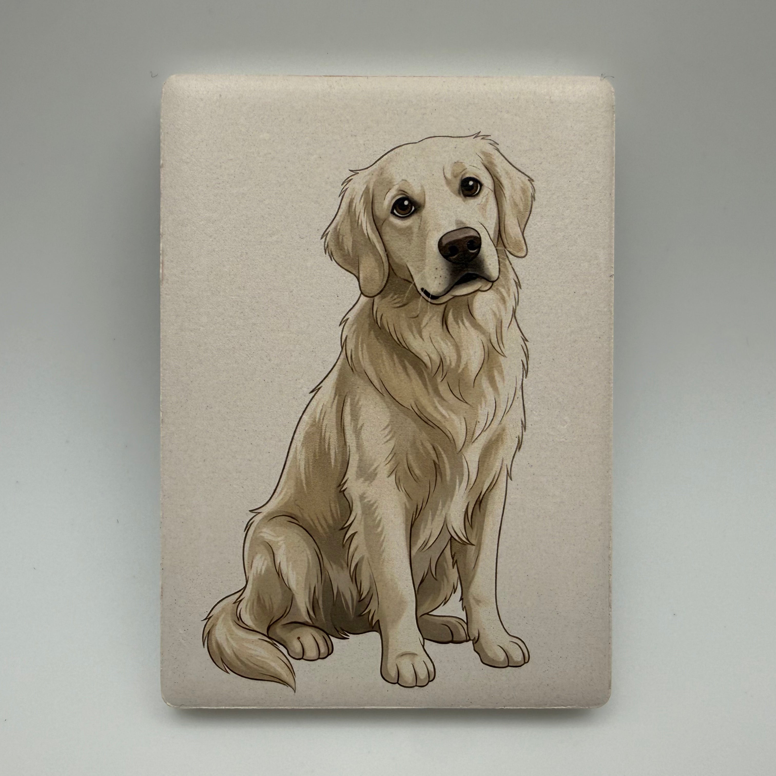 Golden Retriever (White)